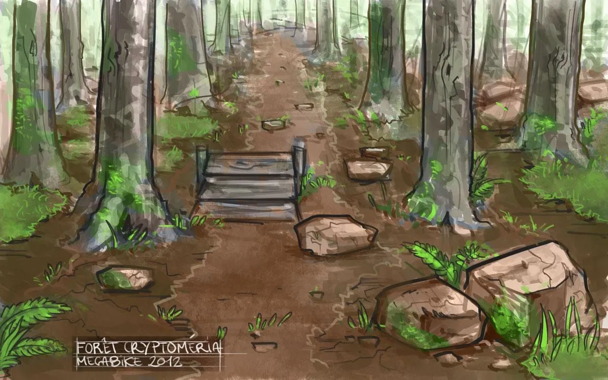 Forêt de cryptomérias, un escalier de bois sur le sentier